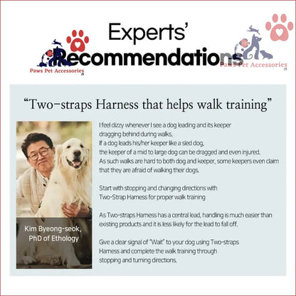 Recommendation card for Dog Double-Lined Straps Harness adjustable training guide