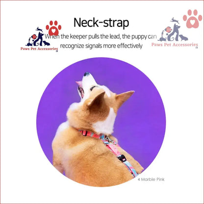 Tan dog in a leash looking up, showcasing the Dog Double-Lined Straps Harness Adjustable