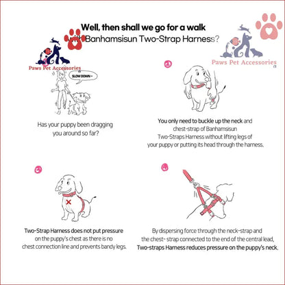 Instructional diagram of double-lined straps harness benefits over traditional collars