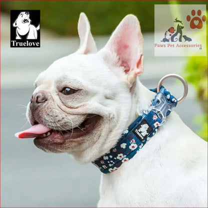 White French Bulldog with tongue out in True Love Floral Dog Collar - Blue, L