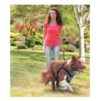 L Dog Harness 2 in 1 Combo - Car Travel Rides + Walks - No Pull Leash Seat Belt