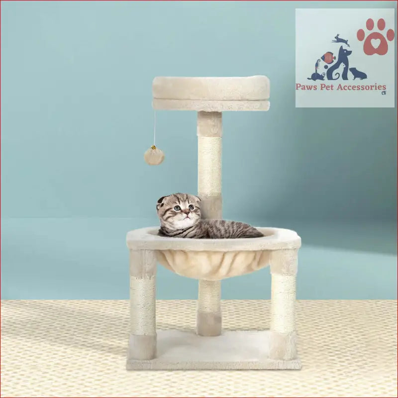 Scottish Fold kitten relaxing on the i.Pet Cat Tree 69cm scratching post tower