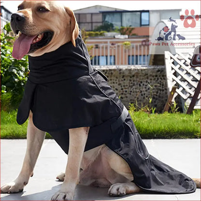 Dog in a black waterproof raincoat from Warm Thickened Reflective Winter Pet Clothes