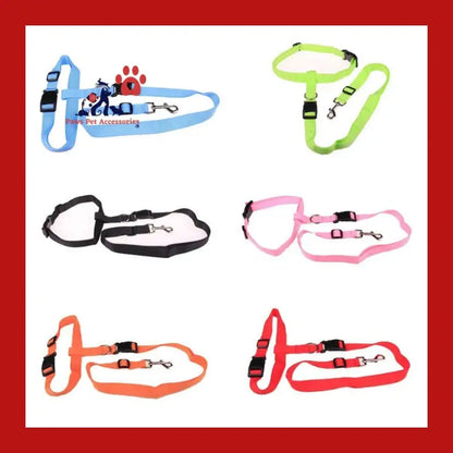 Attractive Traction Pulling Leash Pet Dog Running Jogging Convenient Safe Fashional Goods for Pets - Care > Supplies