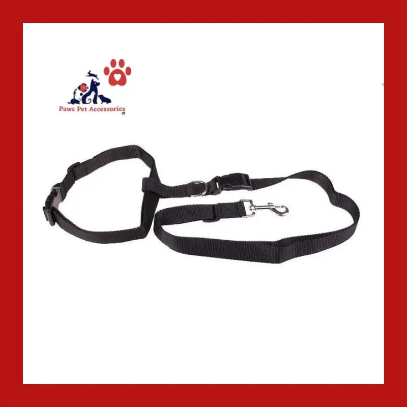 Attractive Traction Pulling Leash Pet Dog Running Jogging Convenient Safe Fashional Goods for Pets - Black - Care >