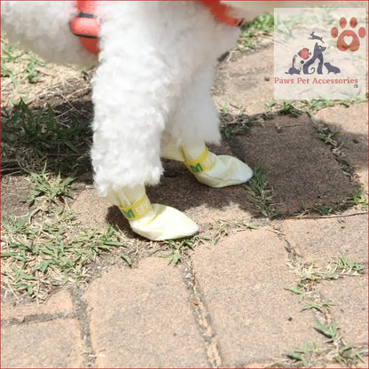 Fluffy white legs in yellow dog shoes waterproof on a stone path, showcasing style