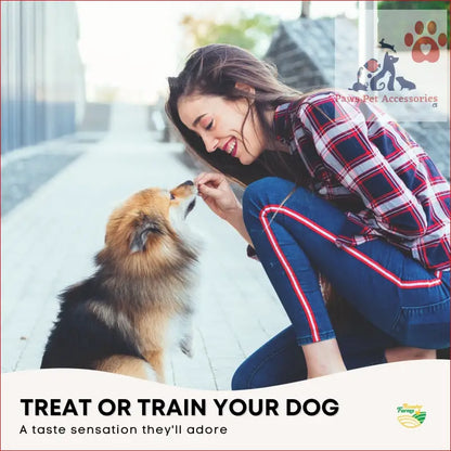 Person in a plaid shirt sharing 10x dog treat large pig ears with fluffy Pomeranian