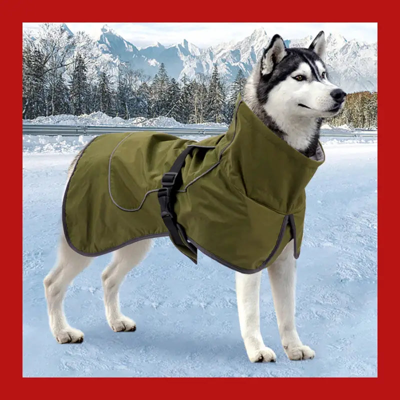 Cotton Padded Warm Thickened Reflective Winter Pet Clothes - Dog Clothing 8