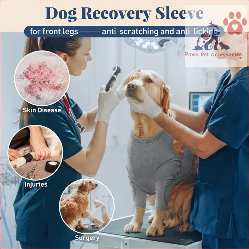 Dog recovery sleeve for front legs, prevents licking, aids healing with S Pet Leg Guard