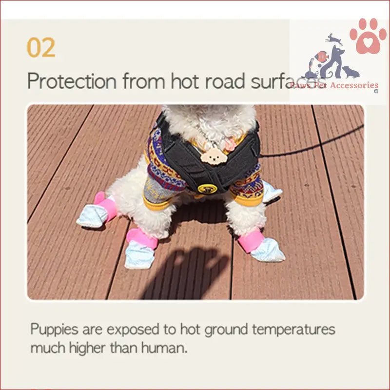 Dog wearing waterproof disposable boots and harness on wooden decking for protection