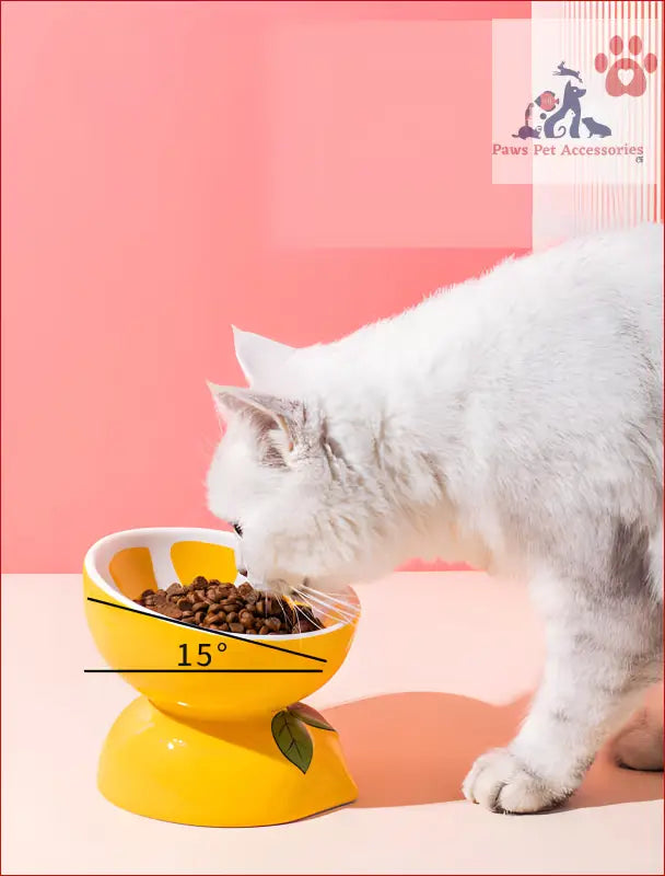 White cat happily munching from a cute banana pattern ceramic elevated pet food bowl