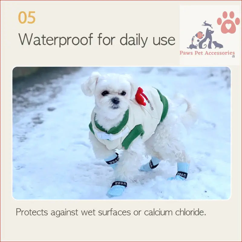 White dog in waterproof disposable boots and coat exploring snowy outdoors