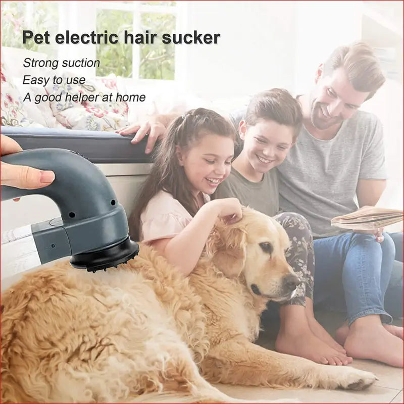 Electric Pet Hair Vacuum Removing Machine- Battery Operated - Supplies Grooming 6