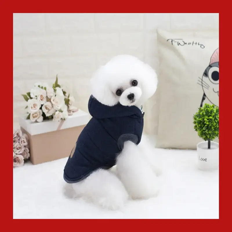 Expertly Crafted for Comfort and Warmth the High Quality Pets Dog Clothes is Made of Premium Cotton a Soft Durable