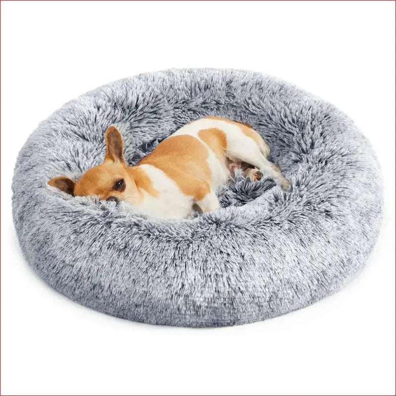 Feandrea 50cm Dog Bed with Removable Washable Cover Grey - Pet Care > Supplies Beds 3