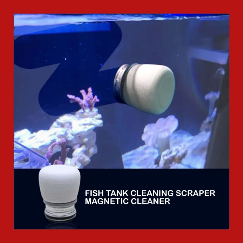 Fish Tank Corner Moss Magnet Scraper Glass Algae Cleaner Magnetic Scrubber Grey - Pet Care > Aquarium Cleaning Supplies