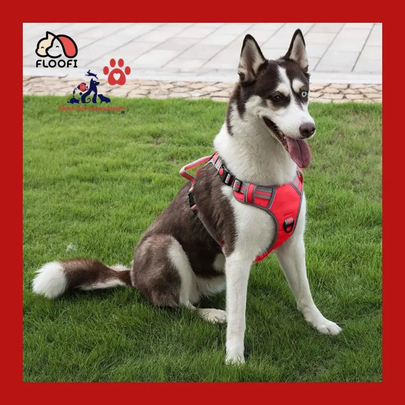 Floofi Dog Harness Vest Xl Size (red) - > Collars & Leads 7