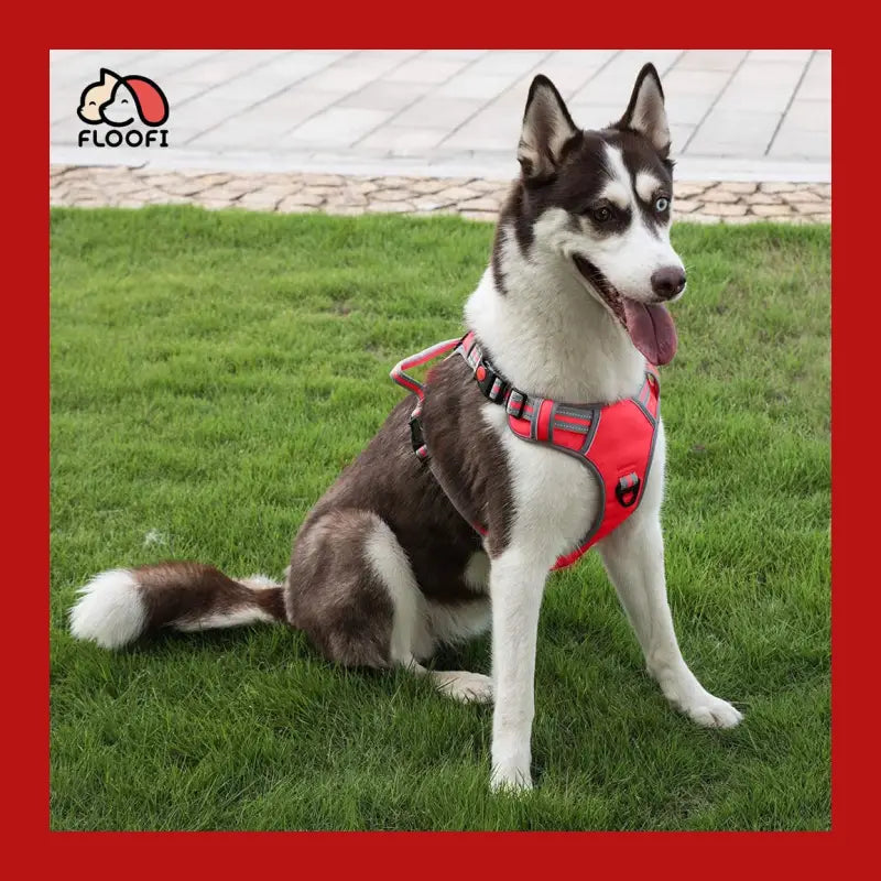 Floofi Dog Harness Vest Xl Size (red) - > Collars & Leads 7