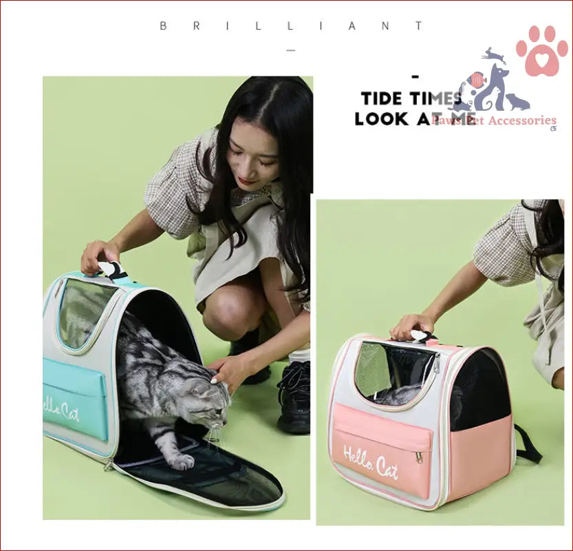 Pastel pink and mint green transparent pet carrier backpack for cute cats and small dogs