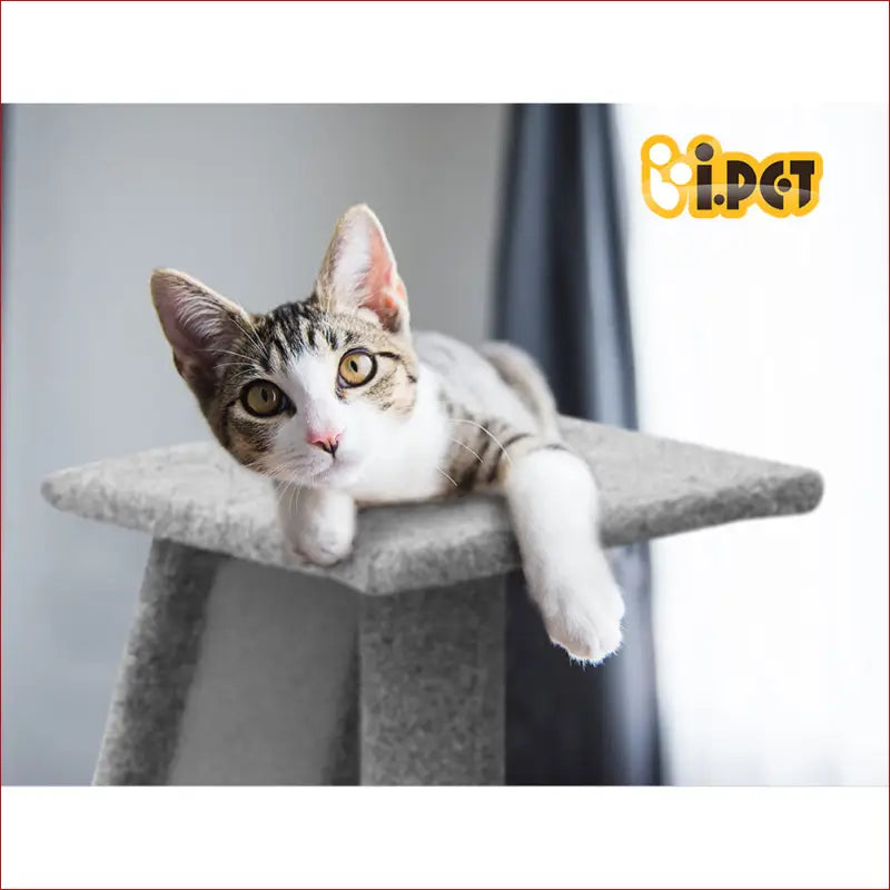 I.pet Cat Tree 82cm Scratching Post Tower Scratcher Condo Trees Climb House - Pet Care > Supplies Posts 7