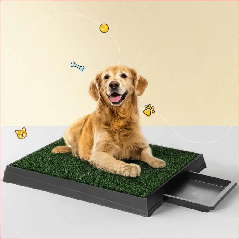 I.pet Pet Training Pad Dog Potty Toilet Large Loo Portable with Tray Grass Mat - Care > Supplies Aids 7