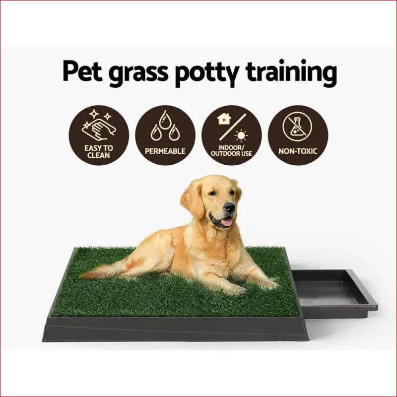 I.pet Pet Training Pad Dog Potty Toilet Large Portable with Tray Grass 2 Mats - Care > Supplies Aids 4