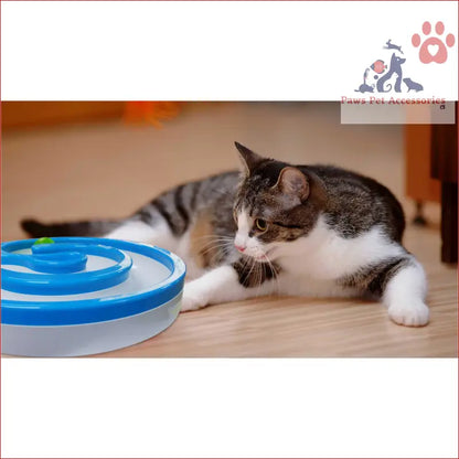 White and gray tabby cat lounging with Interactive Cat Track Circle and LED sound ball