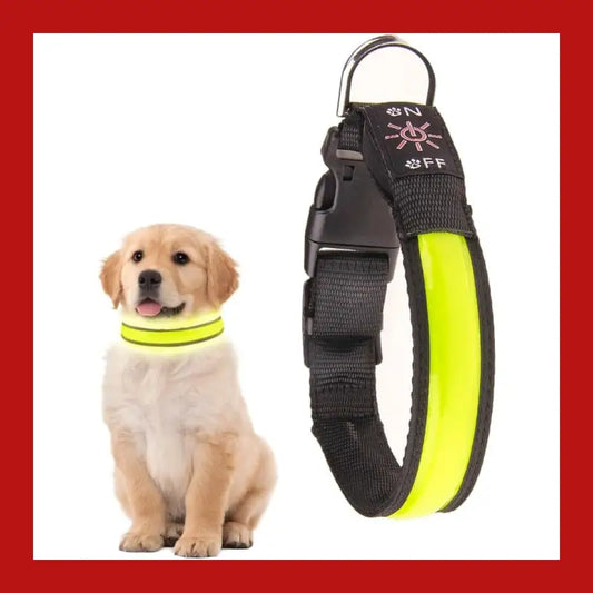 Led Dog Cat Collar Usb Rechargeable Nylon Glow Flashing Light Up Safety Puppy - > Collars & Leads 1