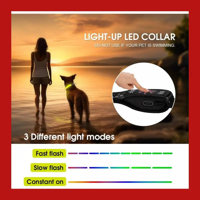 Led Dog Cat Collar Usb Rechargeable Nylon Glow Flashing Light Up Safety Puppy - > Collars & Leads 7