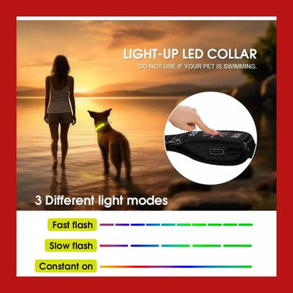 Led Dog Cat Collar Usb Rechargeable Nylon Glow Flashing Light Up Safety Puppy - > Collars & Leads 7