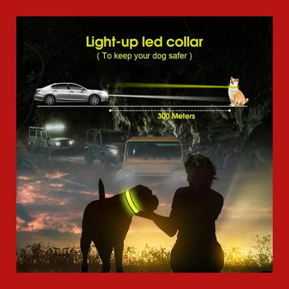 Led Dog Cat Collar Usb Rechargeable Nylon Glow Flashing Light Up Safety Puppy - > Collars & Leads 5