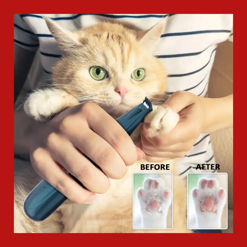 Low Noise Usb Rechargeable Grooming Safe Nail Clipper for Pets - Pet Supplies 10