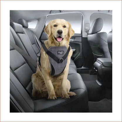 M Dog Harness 2 in 1 Combo - Car Travel Rides + Walks - no Pull Leash Seat Belt - Pet Care > Supplies Collars Leads &