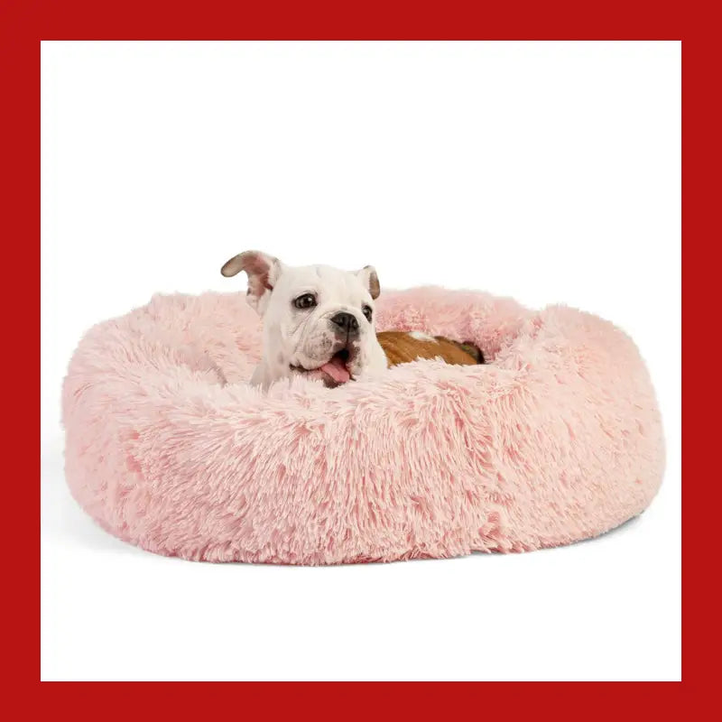 Machine Washable Calming Donut Cat and Dog Pet Bed - Care > Supplies Beds 7