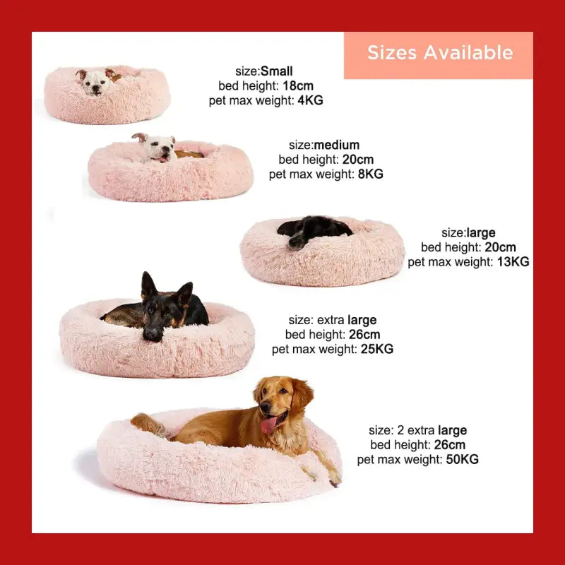 Machine Washable Calming Donut Cat and Dog Pet Bed - Care > Supplies Beds 11