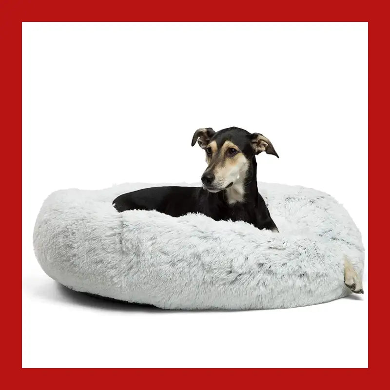 Machine Washable Calming Donut Cat and Dog Pet Bed - Care > Supplies Beds 1