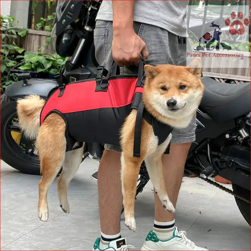 Shiba Inu in a red harness with S Blue Multifunctional Pet Backpack for outdoor assist