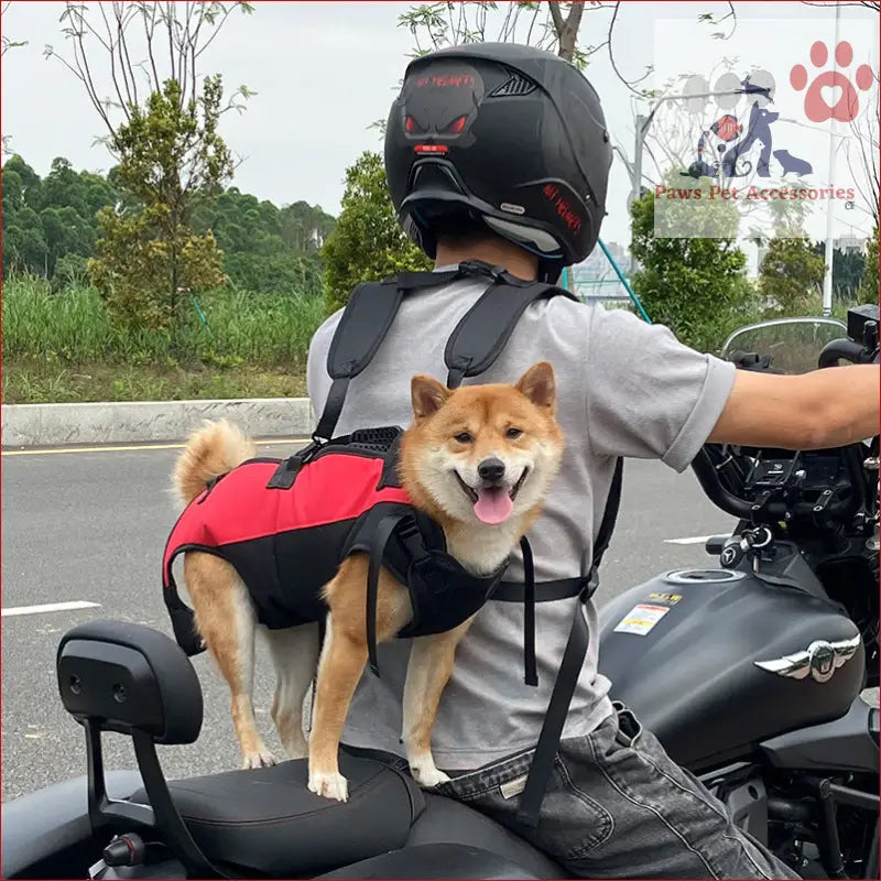 Happy Shiba Inu in a red and black harness on a motorcycle with a multifunctional pet backpack