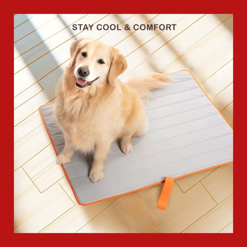 Pet Dog Cooling Mat Non-slip Travel Roll Up Cool Pad Bed Outdoor m Blue - Care > Supplies Beds 5