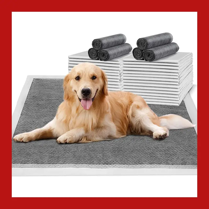 Petswol 100/50/40/20 Pack Disposable Dog Training Pads - l - Pet Care > Supplies Aids 6