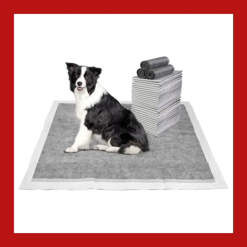 Petswol 100/50/40/20 Pack Disposable Dog Training Pads - Pet Care > Supplies Aids 7