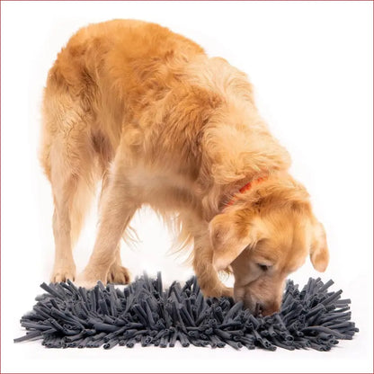 Petswol Dog Snuffle Mat - Premium Interactive Toy for Calm and Happy Pups - Darkgrey - 1