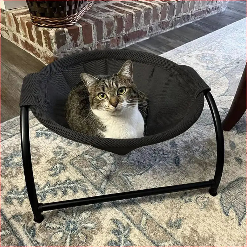 Petswol Elevated Cat Bed Hammock - 6