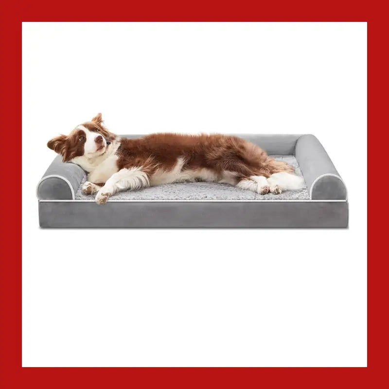 Petswol Four Seasons Pet Sofa Breathable Bed - L(up to 30kg) - Dog 1