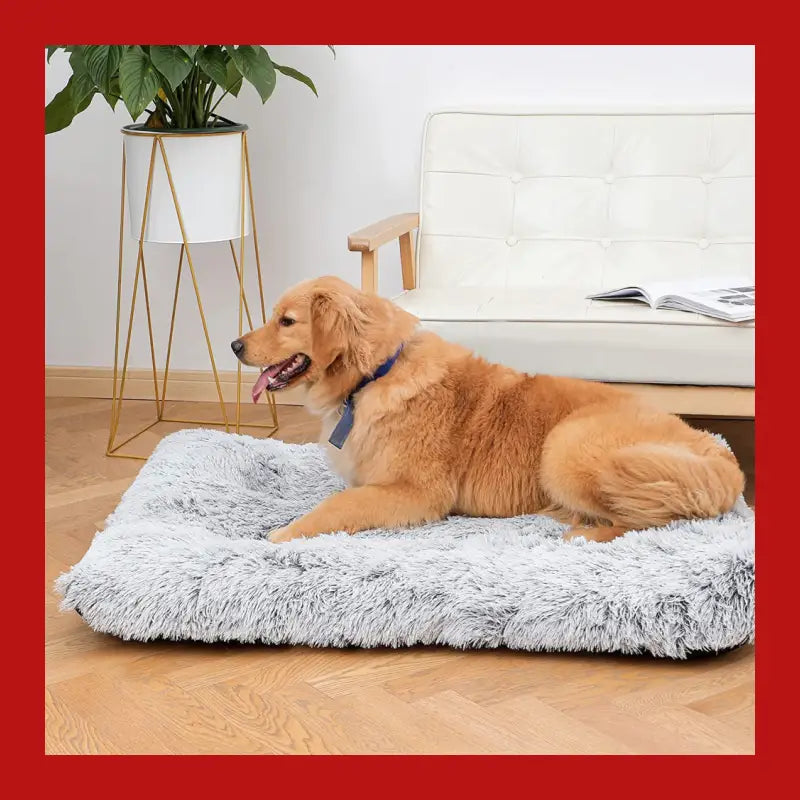 Petswol Plush and Cozy Pet Mat for Ultimate Comfort Warmth-light Grey - Cat/dog Bed 7