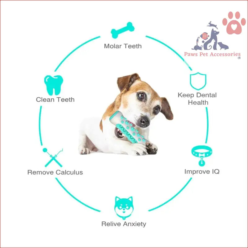 Jack Russell Terrier with turquoise dental chew toy and dental health icons for aggressive chewers