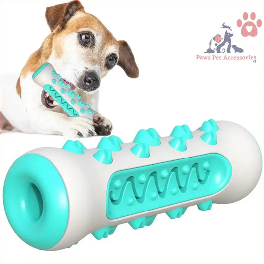 White and turquoise tough toothbrush dog chew toy for aggressive chewers, squeaks fun