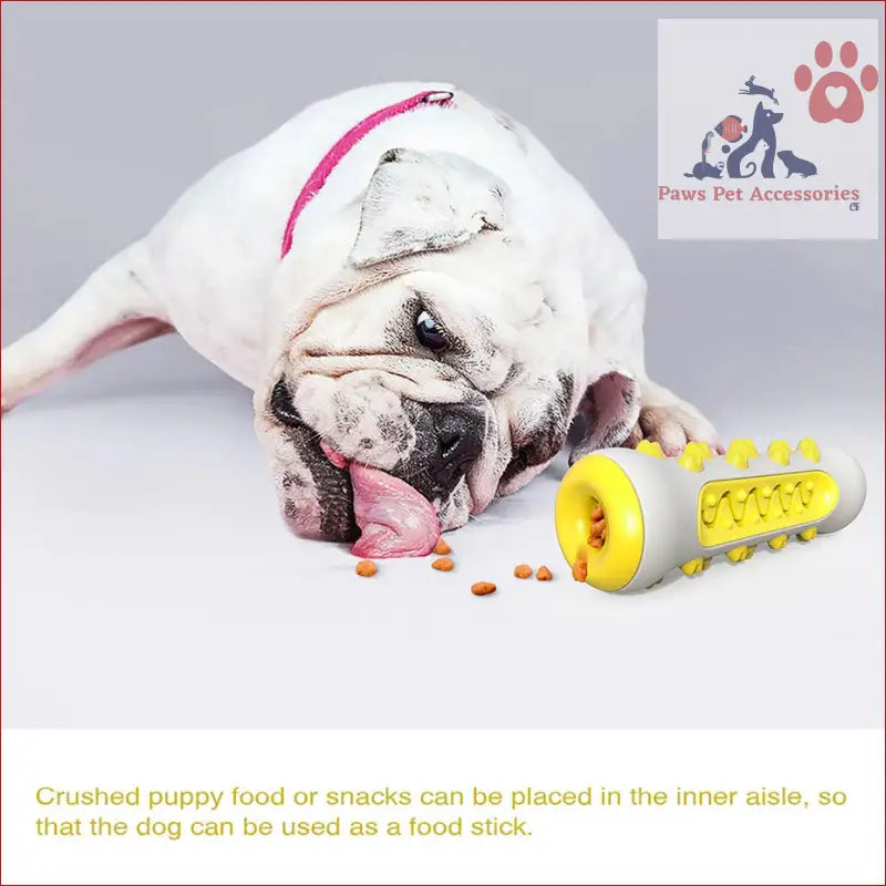 White bulldog relaxing with a yellow treat toy from Green Dog Squeaky Toys for aggressive chewers