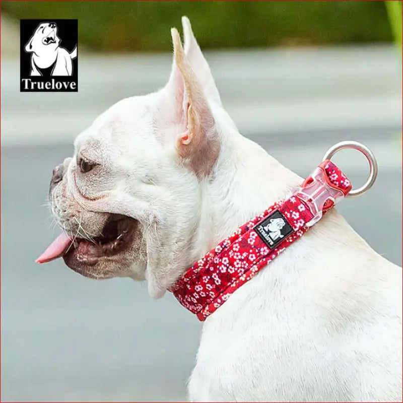 True Love Floral Dog Collar - Red l - 2