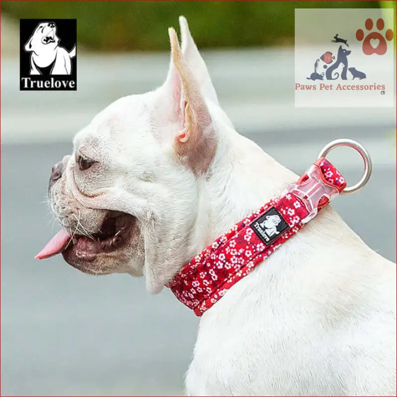 Red Floral Dog Collar on a White French Bulldog showcasing True Love Floral style